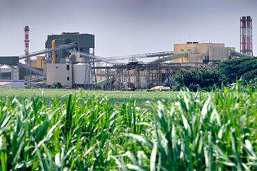 Rapid Optimization with Affordable Data Solutions for Illovo Sugar Africa