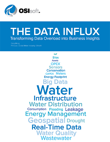 The Data Influx: Transforming Data Overload into Business Insights