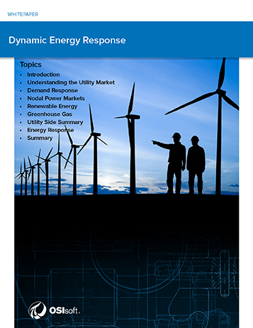 Dynamic Energy Response